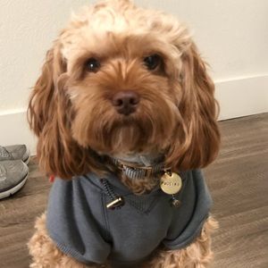 Meet your Posher, Kelly